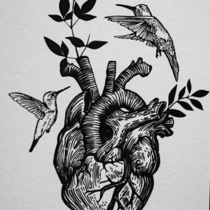 cuore colibrì