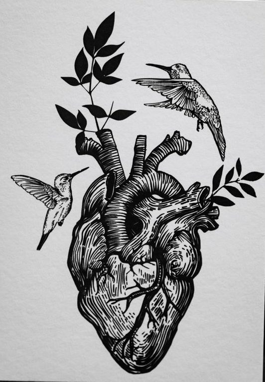 cuore colibrì