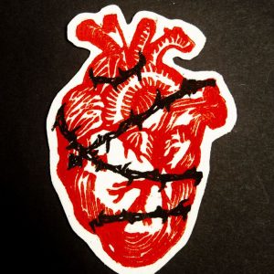 anatomia di un cuore umano