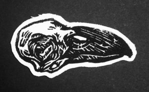 raven skull
