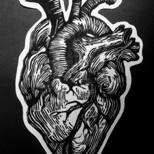 Cuore anatomico