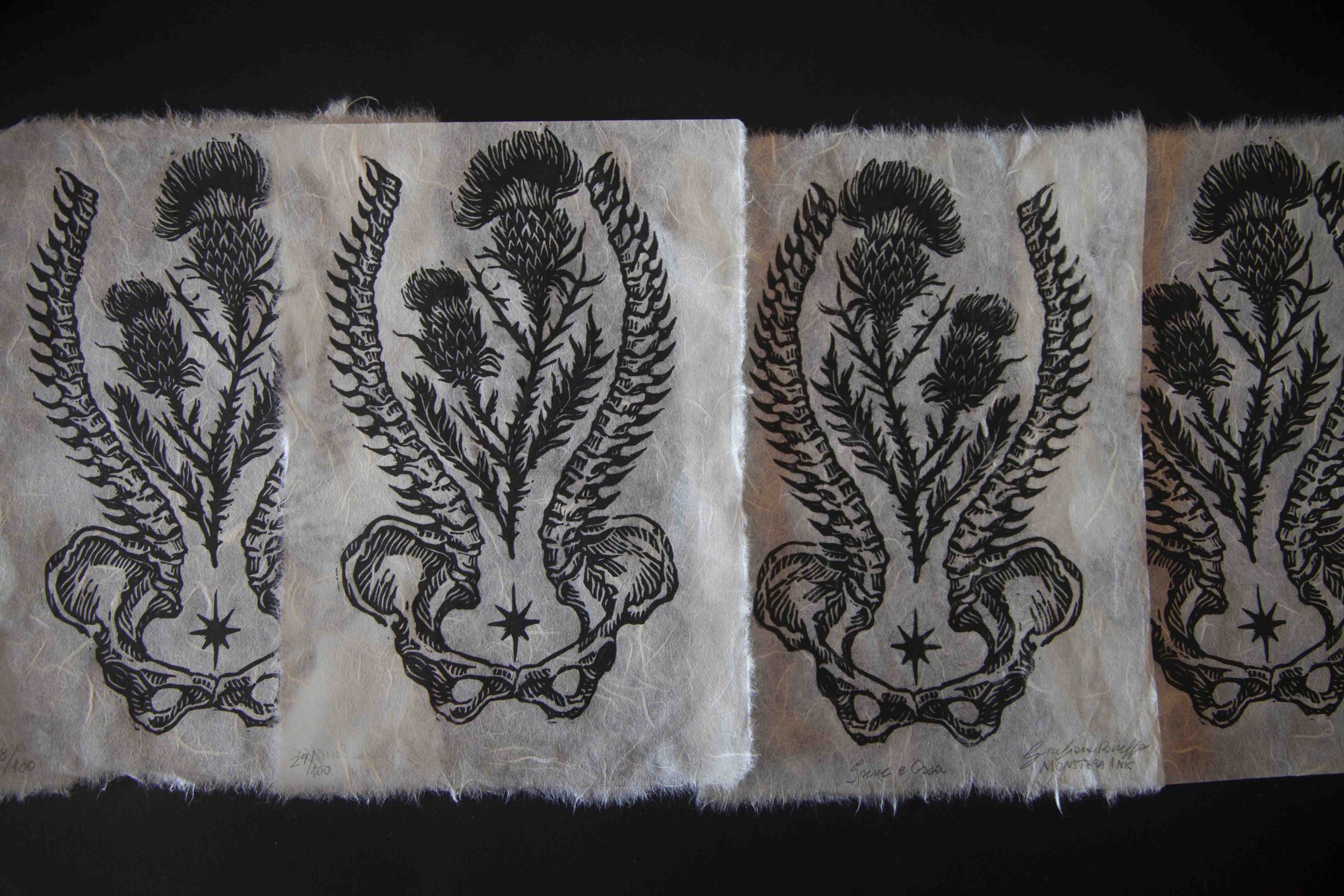 spine dorsali